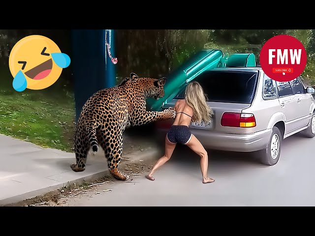 Funny & Hilarious People's Life 😂 #294 | Instant Regret Fails 2025 - Try Not To Laugh Challenge