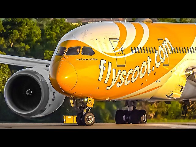 30 MINS of Plane Watching ✈️ Perth Airport 🇦🇺