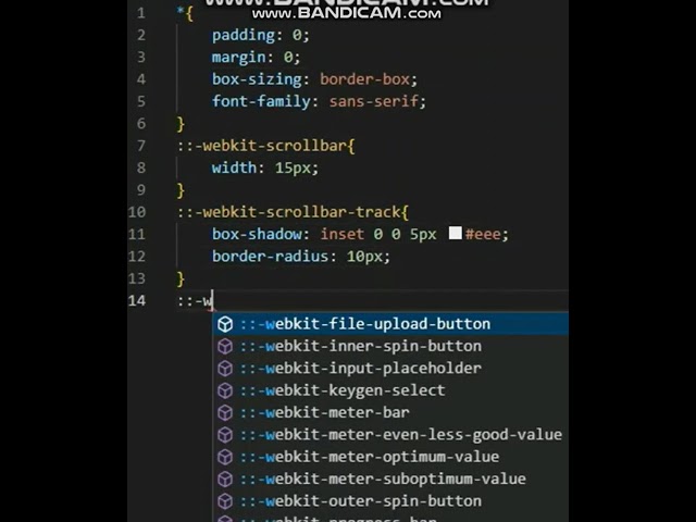 How to add costom scrollbar using CSS