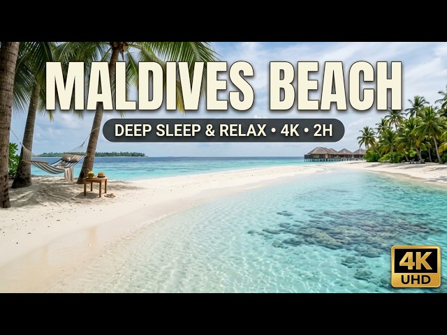 4K Maldives Paradise Baa Atoll & Ari Atoll 🌅 Paradise Beach 2H🌴