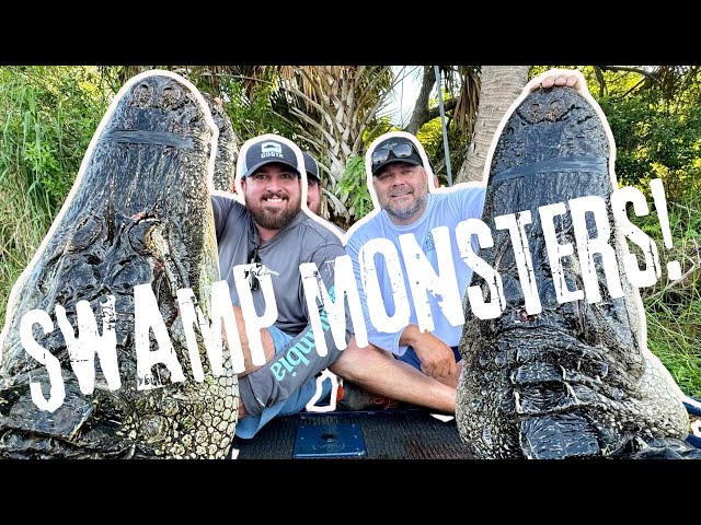 2 GIANT GATORS On Opening Day Of FLORIDA PUBLIC LAND Alligator Season!