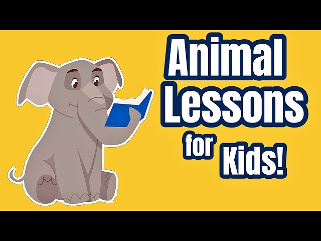 Animal Lessons for Kids | Learn About Land and Sea Animals