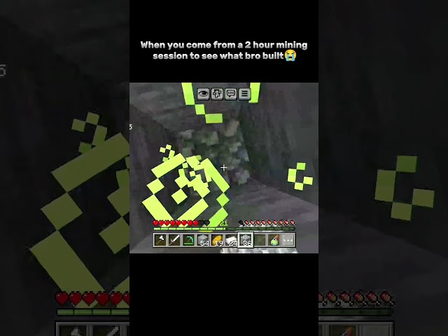 When you come frome a 2 hour mining session to see what bro build 😭 !! #minecraft #video #trending