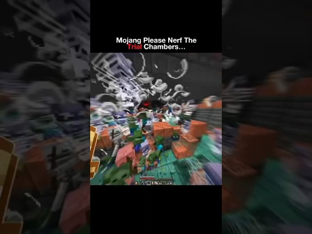 Mojang fix this.... #minecraft#memes#minecraftclip