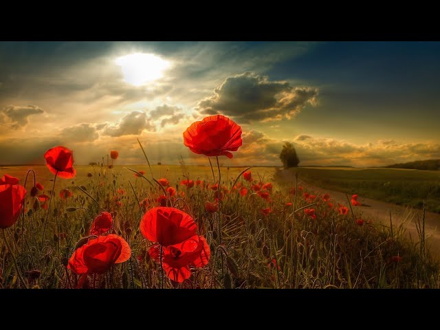 Romantic Mood Music