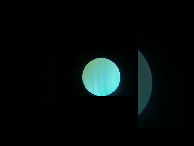 Drawing under microscope (colored with water based markers)
