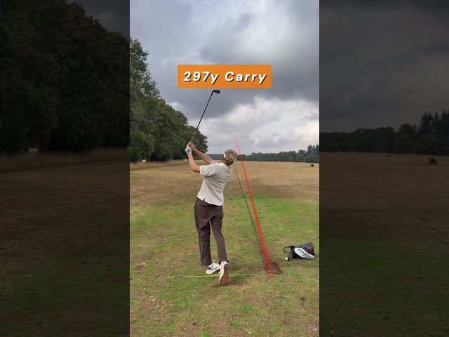 Richard Teder Through The Bag