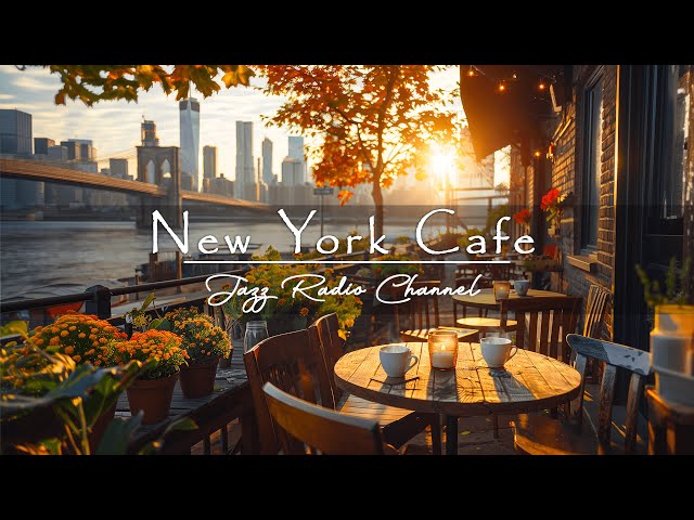 New York Coffee Shop Ambience - Sweet Bossa Nova Jazz Music to Work, Study & Relax | Live 24/7