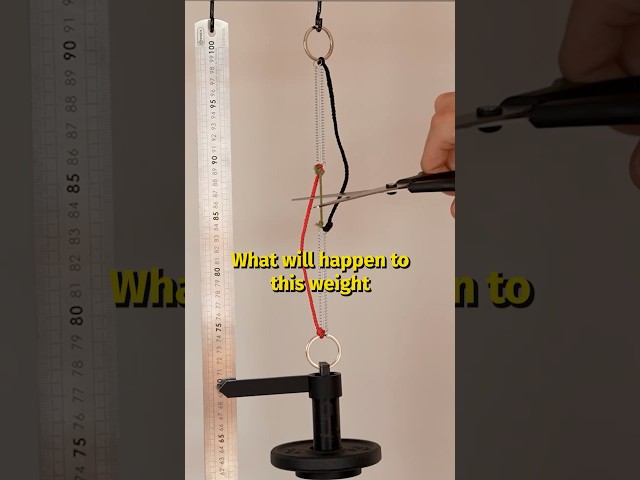 What happens if you cut the green rope?
