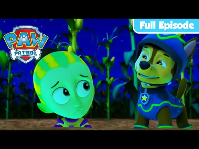 Chase is Out Of This World! | PAW Patrol FULL EPISODES | Cartoons for Kids