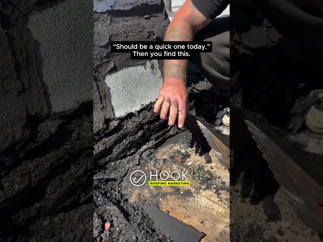 Roofers, Would you take the job after seeing this?