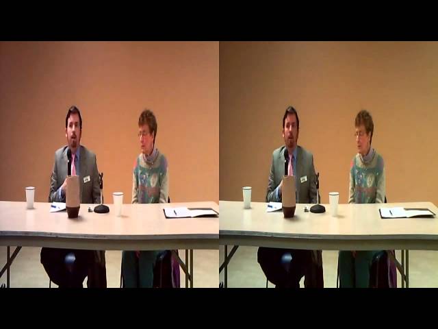 RPD12.12: Can naturalism account for qualia?