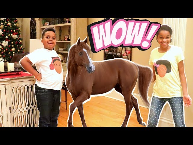 OUR PET HORSE! - Shiloh and Shasha Onyx Kids