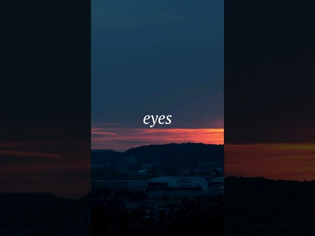 Find Rest Tonight | Our Daily Bread Evening Meditation