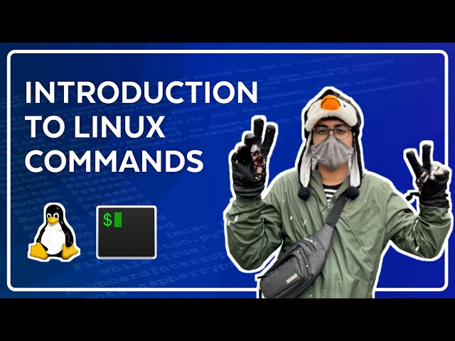 Introduction to Linux & Terminal Commands - Full Course for Beginners