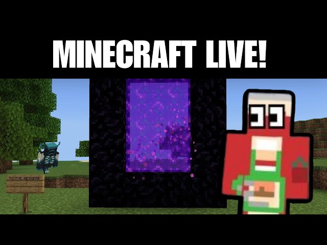 MINECRAFT JAVA LIVE! (4) (Entering The Nether & Mining For Diamonds)