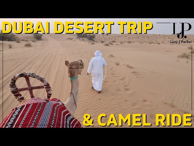 Dubai Desert Trip & Camel Ride