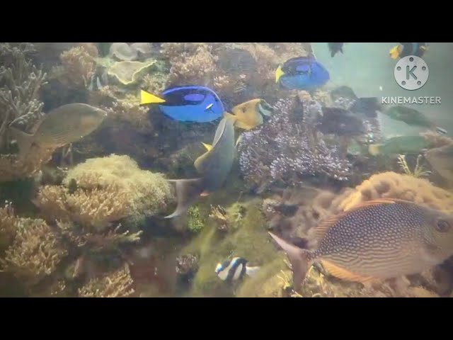 Outdoor tank @The Institute Of Marine Science Of Burapha University