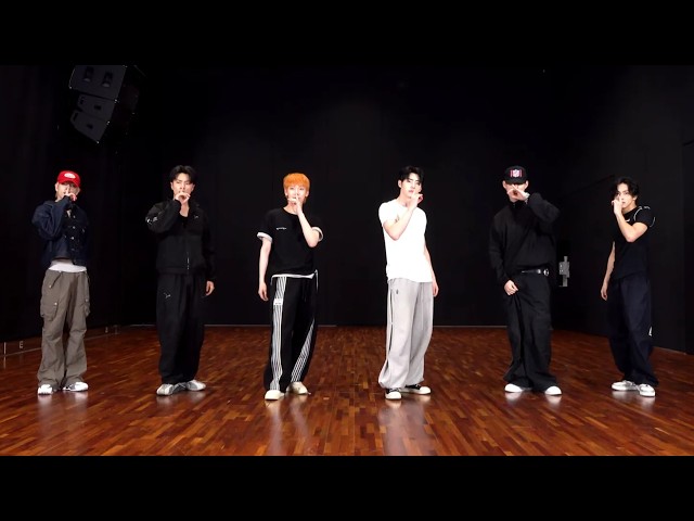 ENHYPEN - ‘Bloody Paradise’ Dance Practice [MIRRORED]