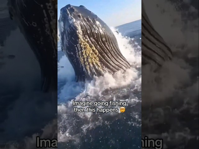 BRO WHAT?!🤯