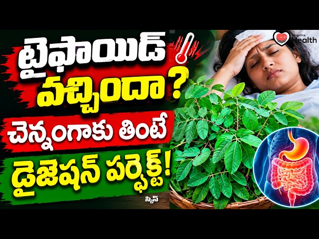 Typhoid Treatment | టైఫాయిడ్ వచ్చిందా? చెన్నంగాకు తింటే డైజెషన్ పర్ఫెక్ట్ Dr Satya Unani| ToneHealth