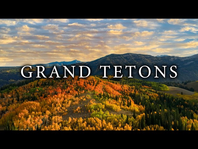 This Is What Peak Autumn Looks Like in the Rockies - 4K Ambient Film