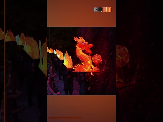 চীনের হুয়াংশানে ড্রাগন লণ্ঠনের চোখধাঁধানো আলোকসজ্জা | Daily Sun Bangla