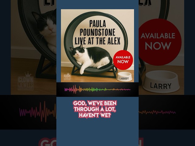 Recorded live in 2025! Paula's album drops today wherever you listen to comedy #paulapoundstone