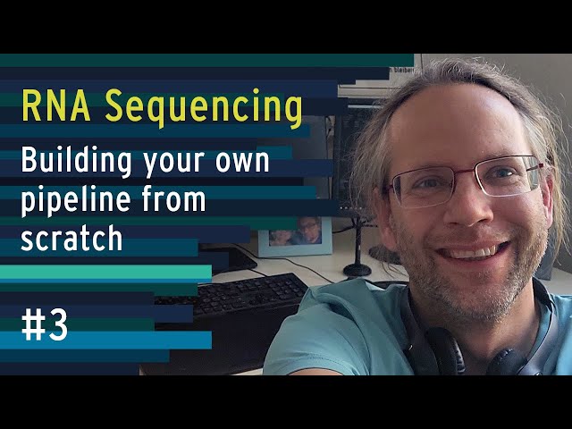 RNA Sequencing - Read counts, RPKM, Volcano plot, and a Heatmap