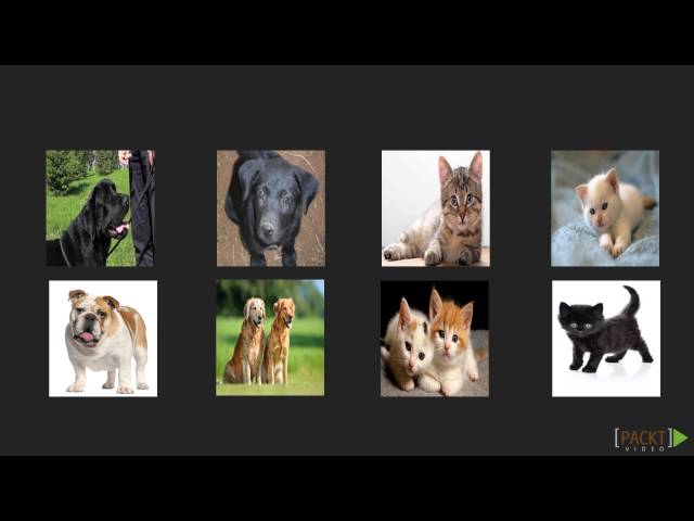 Deep Learning with Python: The Course Overview | packtpub.com