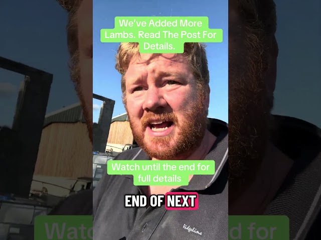 Lamb offer extended