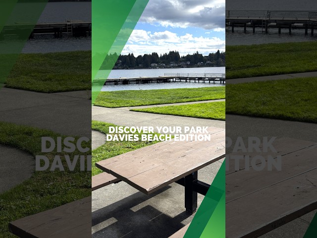 Discover Davies Beach in Lake Stevens