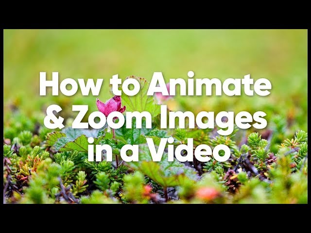 How to animate and zoom images in the video | Filmora