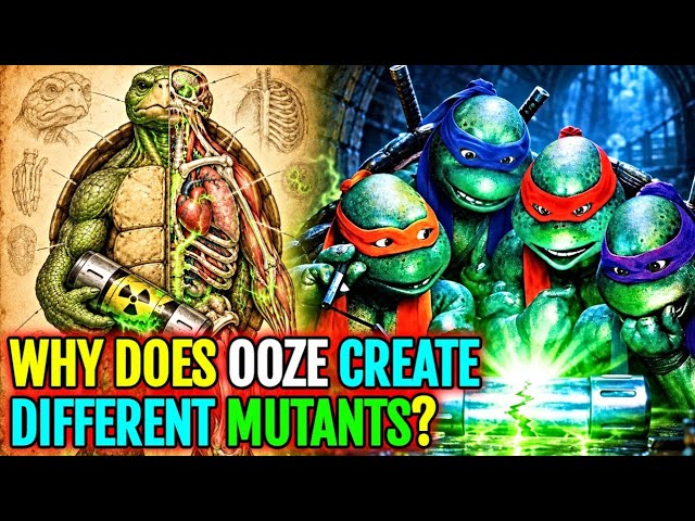 TMNT Ooze Origins Anatomy Explained - How Did the Mutagen Transform Ordinary Turtles So Completely?