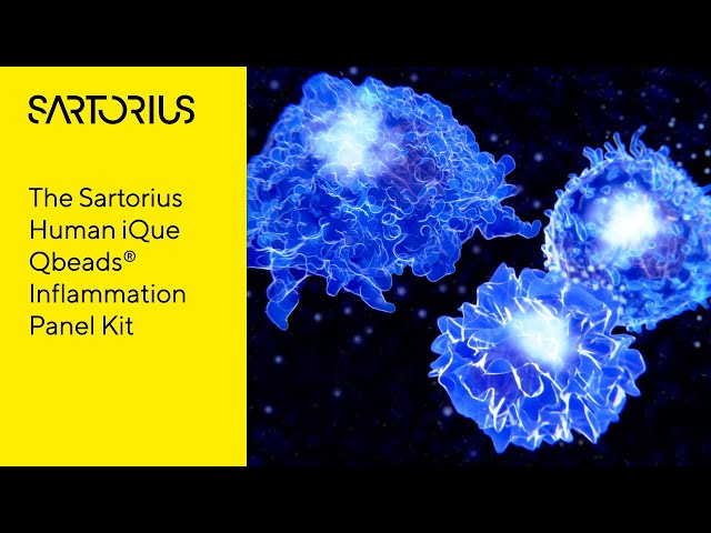 Video introduction: Human iQue Qbeads® Inflammation Panel Kit