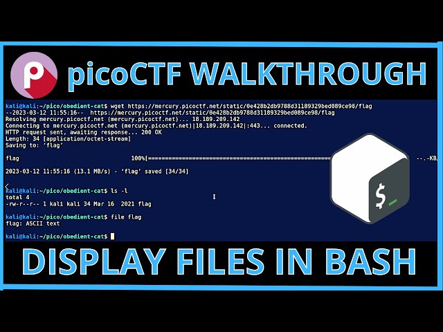 Displaying Files in Bash for Beginners! | picoCTF 2021 "Obedient Cat" Walkthrough