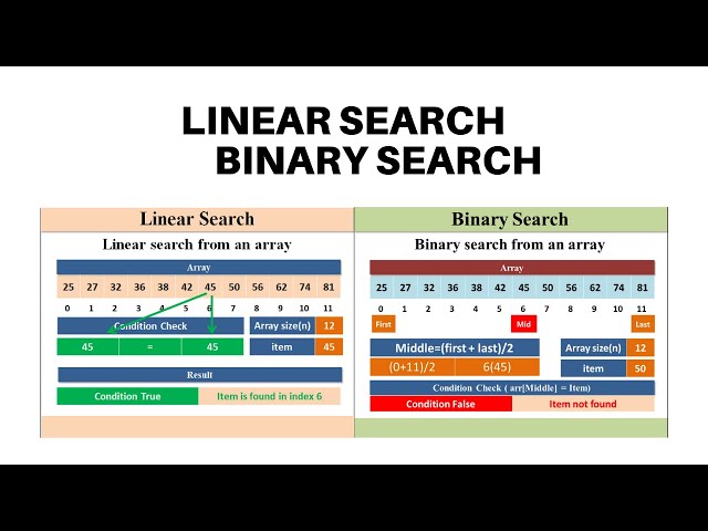 Linear Search and Binary Search Algorithm Bangla || Sabuj majumdar