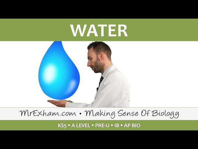 Chemicals of Life - Water - Post 16 Biology (A Level, Pre-U, IB, AP Bio)