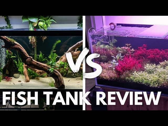 My Viewers sent me their Tanks. 2 are GREAT, 1 is NOT!