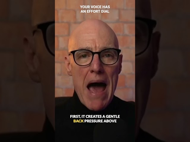 Your Voice Has An Effort Dial