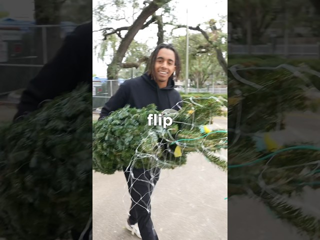 $120/hr Selling Christmas Trees: Day #14