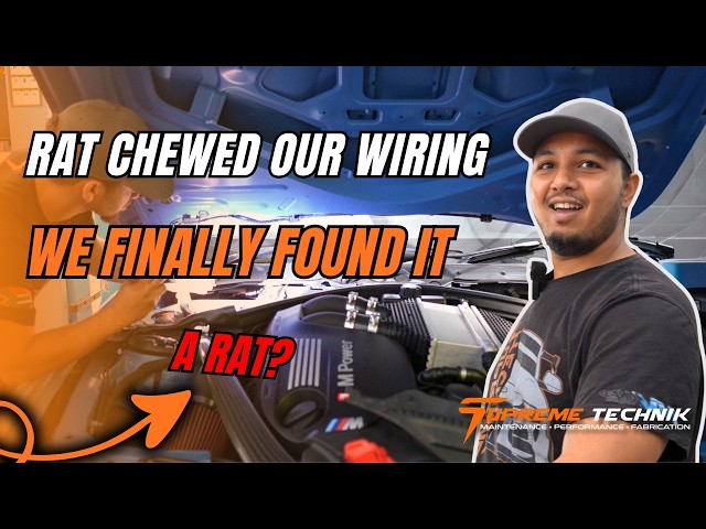 A Rat RUINED This BMW?! 🛠️ | Supreme Technik Shop Vlog