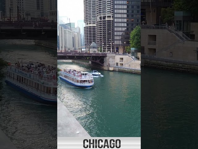 Why Everyone's Moving to Chicago After Seeing This #chicago #citylife #shorts