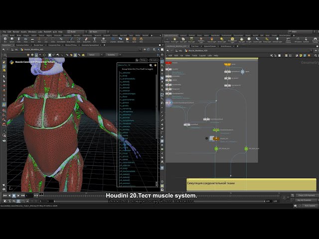 Muscle System. Houdini 20
