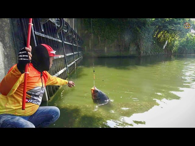 REJEKI NOMPLOK Mancing ikan di Pintu Air Keramat Nila Babon bermunculan senar sampei PUTUS