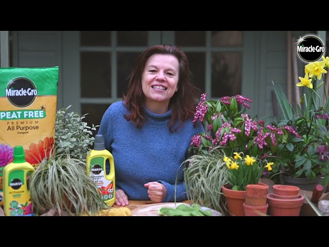 Miracle-Gro® Peat Free Compost Explained | Look, Feel & Benefits for Healthy Gardening