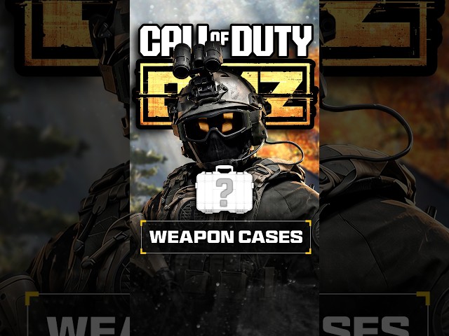 NEW DMZ Weapon Case Rewards… (MW4)