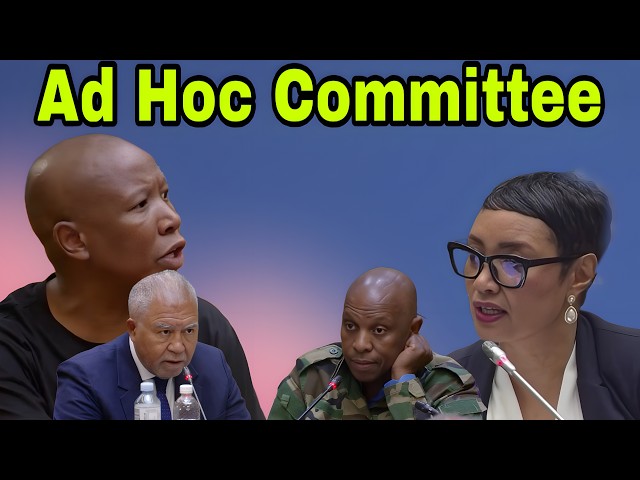 Ad Hoc Committee: Draft Committee Report
