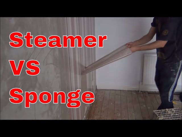 Removing Wallpaper: Steamer Vs Sponge
