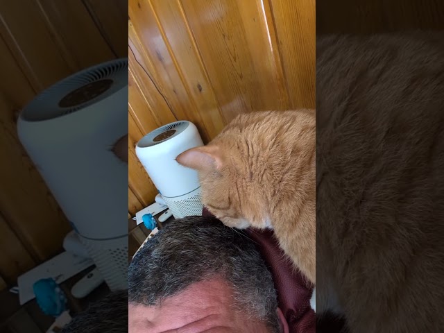 😺😺😺